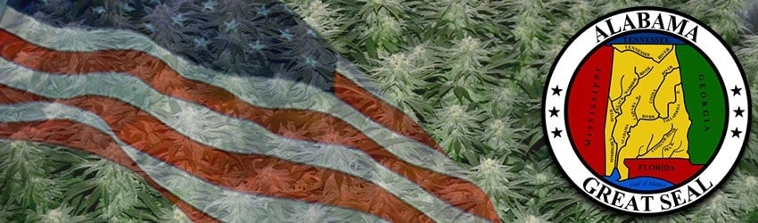 Buy Marijuana Seeds In Alabama