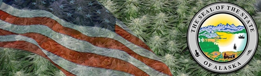 Buy Marijuana Seeds In Alaska