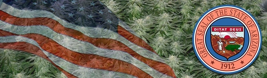 Buy Marijuana Seeds In Arizona