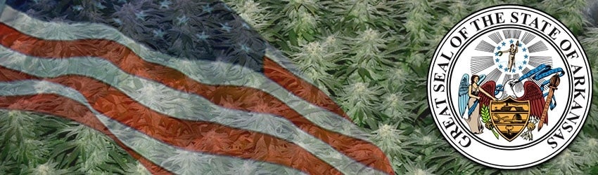 Buy Marijuana Seeds In Arkansas