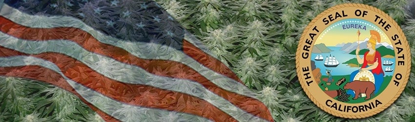 Buy Marijuana Seeds In California