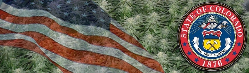 Buy Marijuana Seeds In Colorado