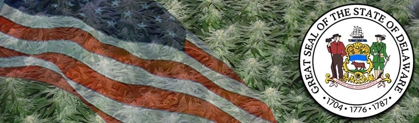 Buy Marijuana Seeds In Delaware