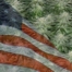 Buy Marijuana Seeds In Illinois