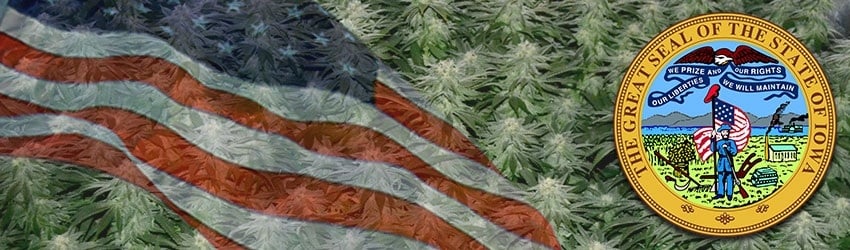 Buy Marijuana Seeds In Iowa