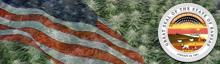 Buy Marijuana Seeds In Kansas