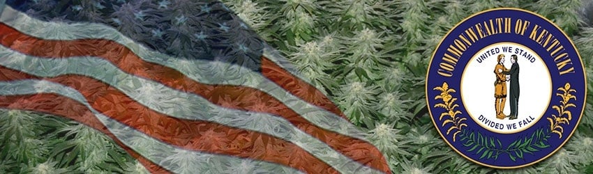 Buy Marijuana Seeds In Kentucky