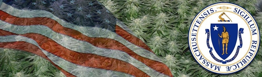 Buy Marijuana Seeds In Massachusetts