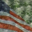 Buy Marijuana Seeds In Michigan
