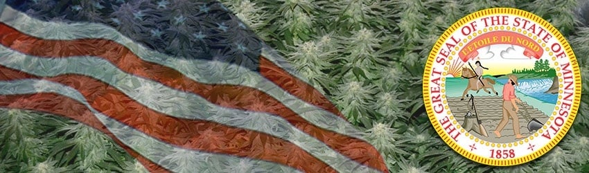 Buy Marijuana Seeds In Minnesota