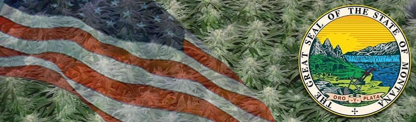 Buy Marijuana Seeds In Montana