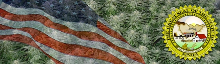 Buy Marijuana Seeds In Nevada