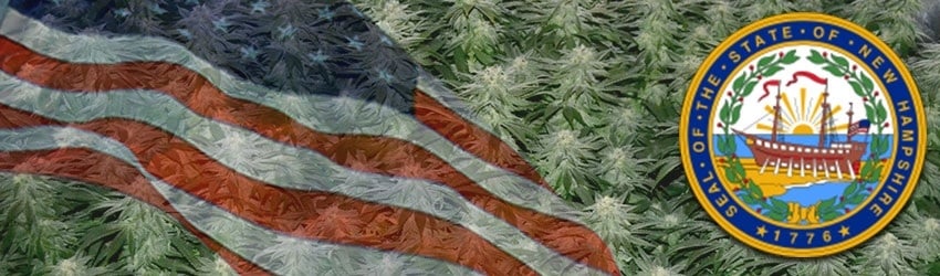 Buy Marijuana Seeds In New Hampshire