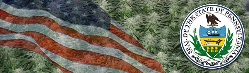 Buy Marijuana Seeds In Pennsylvania
