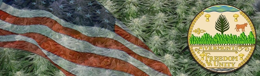 Buy Marijuana Seeds In Vermont