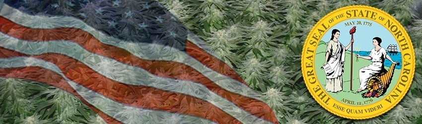 Buy Marijuana Seeds In North Carolina