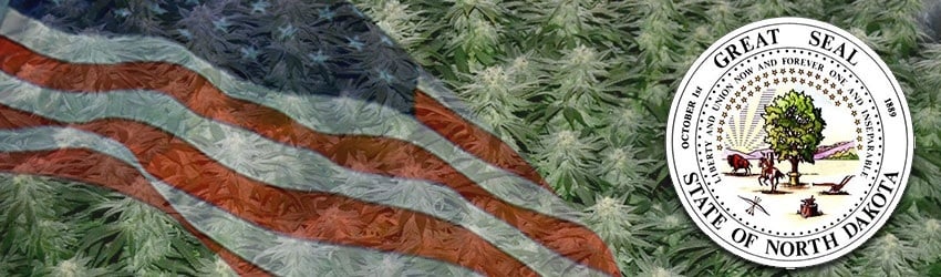 Buy Marijuana Seeds In North Dakota