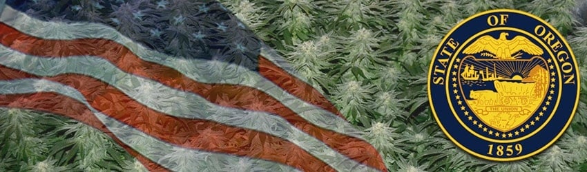 Buy Marijuana Seeds In Oregon