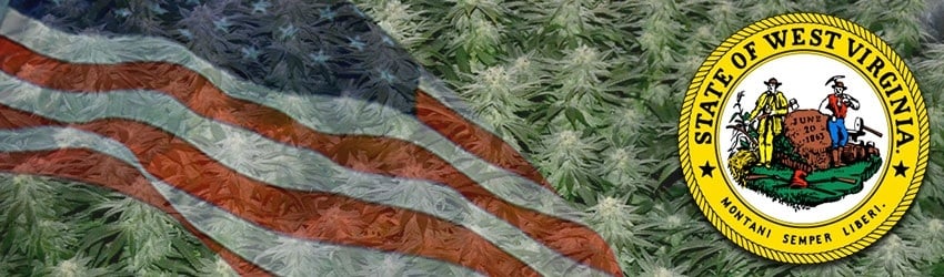 Buy Marijuana Seeds In West Virginia