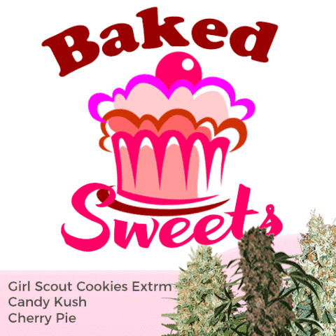 Baked Sweets Mix Pack Marijuana Seeds