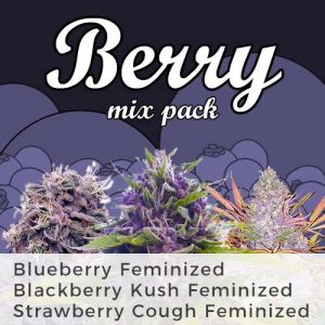 Berry Mix Pack Marijuana Seeds