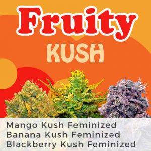 Fruity Kush Mix Pack Marijuana Seeds