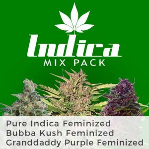 Indica Mix Pack Marijuana Seeds