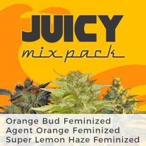 Juicy Mix Pack Marijuana Seeds