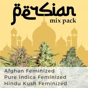 Persian Mix Pack