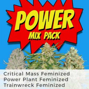 Power Mix Pack Marijuana Seeds