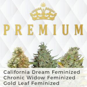 Premium Mix Pack Marijuana Seeds