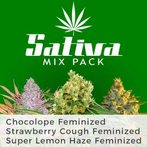 Sativa Mix Pack Marijuana Seeds