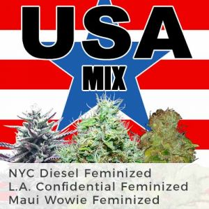 USA Pride Mix Pack Marijuana Seeds