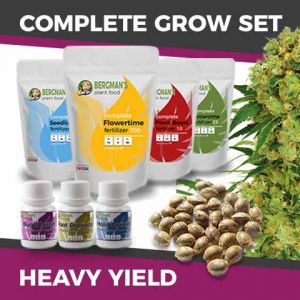 Complete Marijuana Seeds Grow Set For Heavy Yields