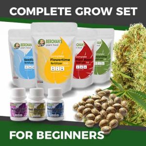 Complete Marijuana Seeds Grow Sets For Beginners