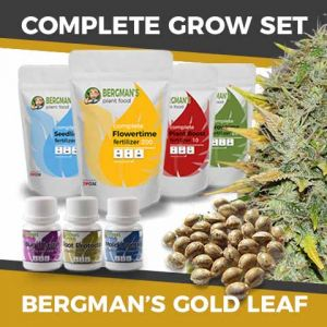 Complete Marijuana Seeds Grow Sets, Gold Leaf