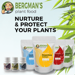 Bergmans Plant Food