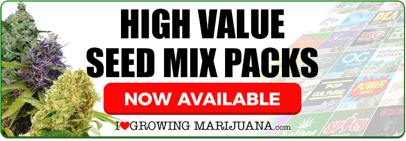 Buy Marijuana Seeds In USA Online Buy Marijuana Seeds In USA Online