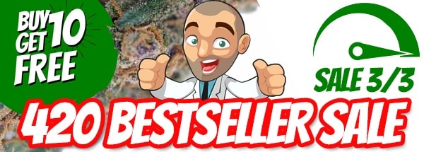 Free Best Selling Cannabis Seeds 420 Week
