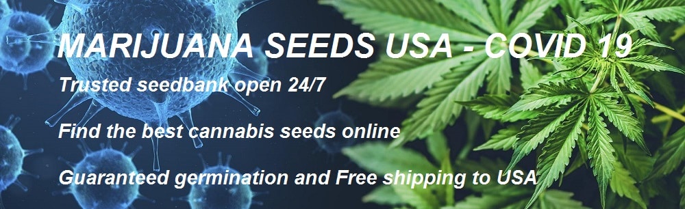 Marijuana Seeds USA Covid 19