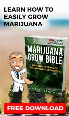 Grow Marijuana From Your Favourite Seed Bank