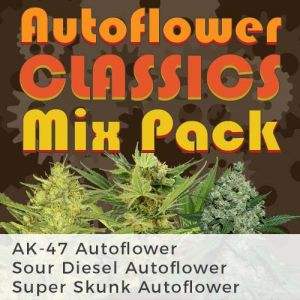 Autoflower Classic Seeds Mix
