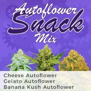 Autoflower Snack Seeds Mix