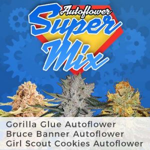 Autoflower Super Seeds Mix