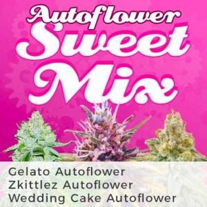 Autoflower Sweet Seeds Mix