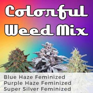 Colorful Weed Seeds Mix