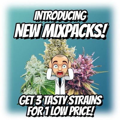 Low Price Marijuana Seeds For Sale