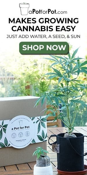 Buy A Pot For Pot Grow Set