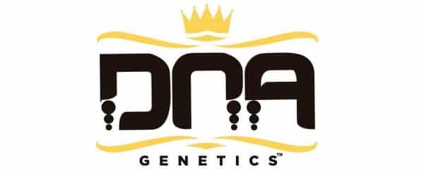 DNA Genetics Marijuana Seeds