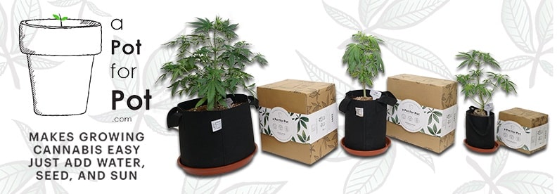 Pot For Pot Growing Kit